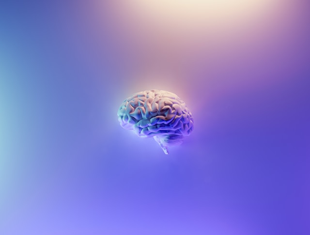 Brain tumor doctors in Bursa