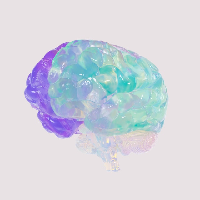 Doctor for brain tumors in Bursa